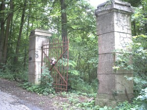 Ein Tor am Tor