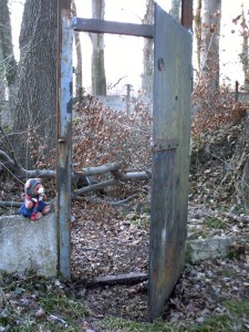 Ein Tor im Wald
