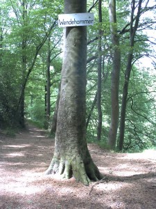 Wendehammer für Pferde